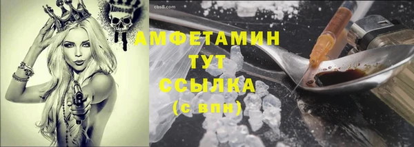 ГАЛЛЮЦИНОГЕННЫЕ ГРИБЫ Вязники