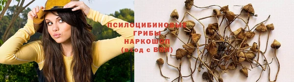 винт Горнозаводск