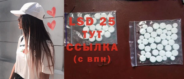 крисы Вязьма