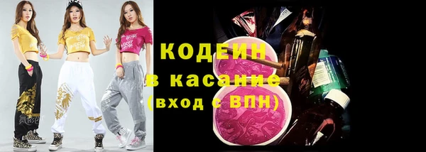 крисы Вязьма