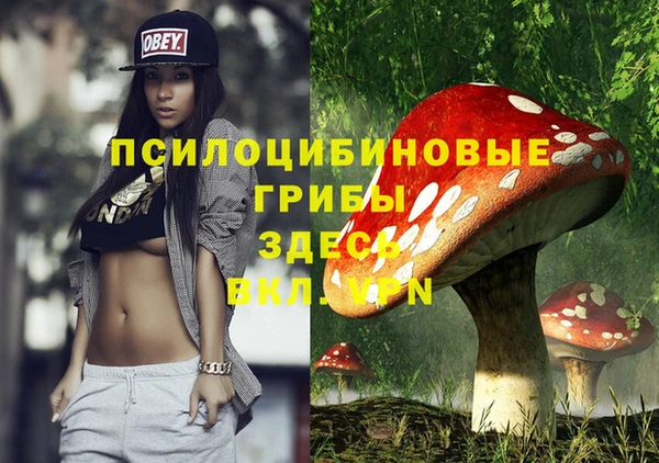 mix Вяземский