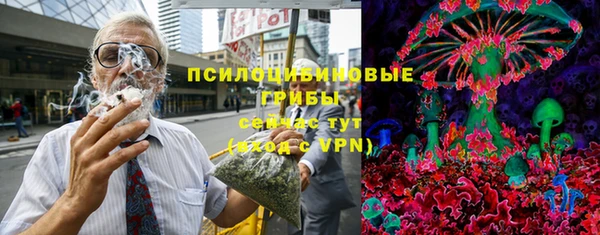 крисы Вязьма