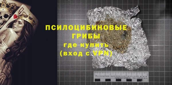 ГАЛЛЮЦИНОГЕННЫЕ ГРИБЫ Вязники