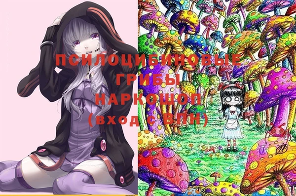 ГАЛЛЮЦИНОГЕННЫЕ ГРИБЫ Вязники