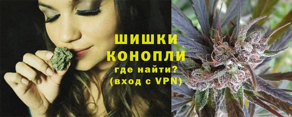 ГАЛЛЮЦИНОГЕННЫЕ ГРИБЫ Вязники
