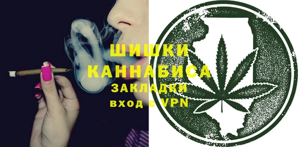 крисы Вязьма
