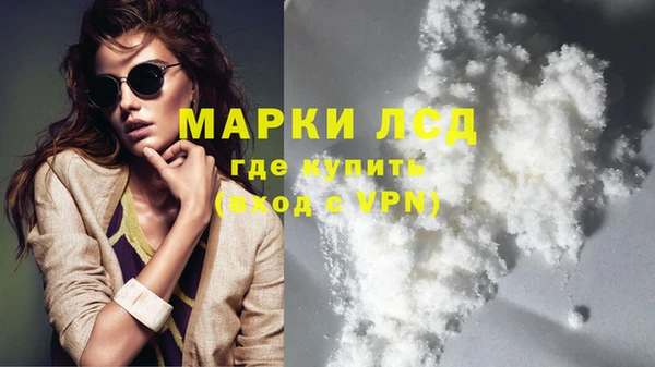 ГАЛЛЮЦИНОГЕННЫЕ ГРИБЫ Вязники