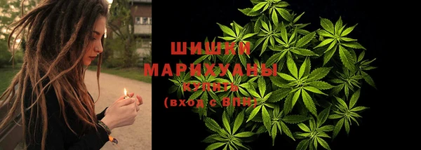 дживик Горняк