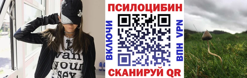 наркотики  Енисейск  MEGA маркетплейс  Галлюциногенные грибы Psilocybe 