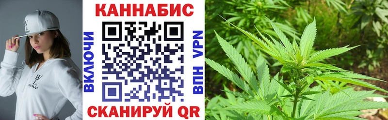 Бошки Шишки Amnesia  Енисейск 